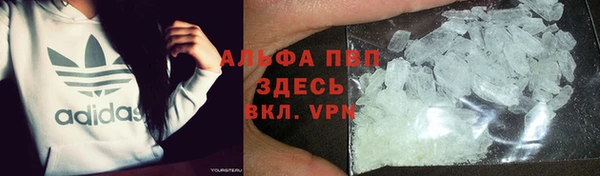 шишки Беломорск