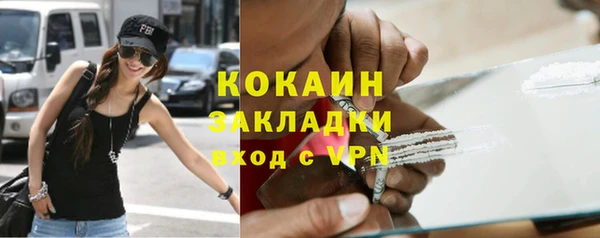 шишки Беломорск