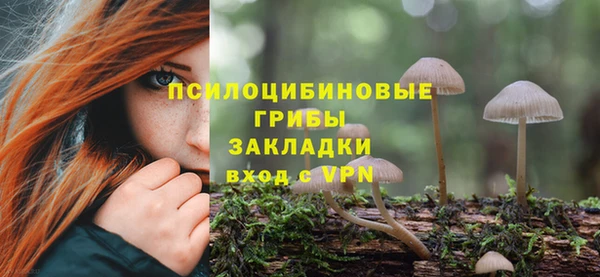 гашиш Белокуриха